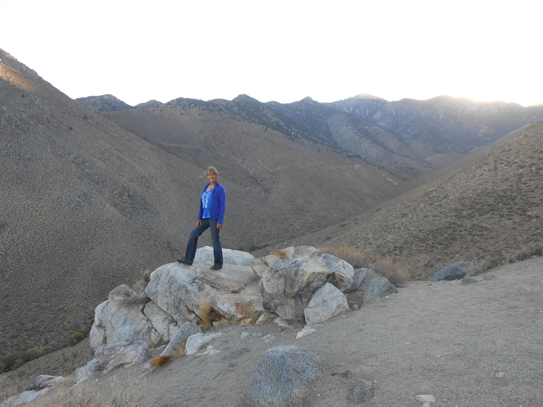 Trish Odenthal travels to Mojave Desert