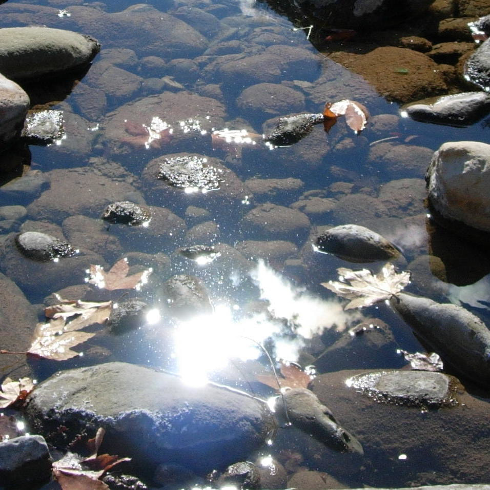 Reflected sun creates glare blocking view into water.